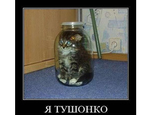 getImage (6).jpg
