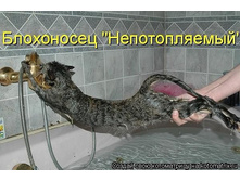 getImage (8).jpg