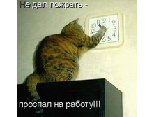 getImage (12).jpg