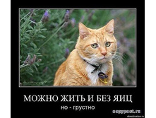 getImage.jpg