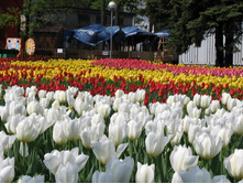 ������� ����!