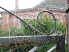 ���� �� ��������