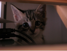 ������������ ���