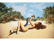 ������� �������   115.0x75.0 ��  1250���