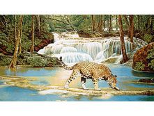 ����� ����   135.0x75.0 ��  1350���