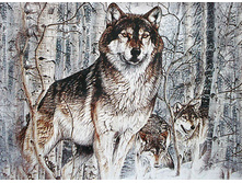 ����   48.0x35.0 �� 450���