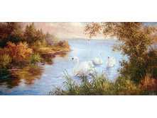 ����-������   100.0x50.0 ��  800���