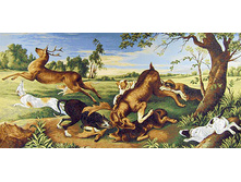 ������   152.0x75.0 ��  1600���