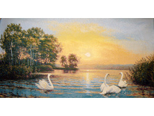 ����� �����   90.0x50.0 ��  800���