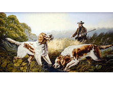 ������ �� �����   105.0x60.0 ��  950���