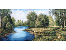 ����� ��������   100.0x50.0 ��   800���