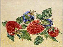 �������   25.0x20.0 ��   270���