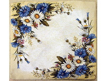 �������� � �������   50.0x50.0 ��    120���