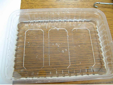 2_�������� � �����.jpg