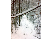 ������ �� ���...