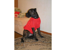 �������� ������� ��������)))