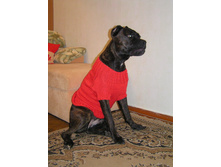 � � �������)))