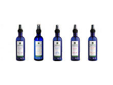 ��������� ���� 