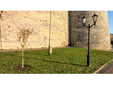 2012-11-11 15.15.40.jpg