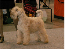 ���� �������� � ������..jpg