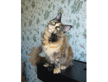 1 ��� 2 ������