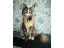 1 ��� 2 ������