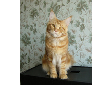 10 �������