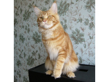 10 �������