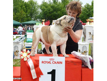 ������� 21 ���� �������.jpg