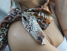 ���� ��������.jpg