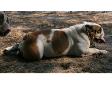 ������� 30 ������� 2011 208.jpg