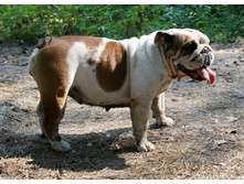 ������� 30 ������� 2011 271.jpg