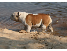 ������� 30 ������� 2011 320.jpg