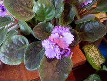 �������� 14.11.2009