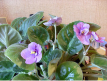 ��������14.11.2009