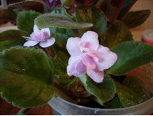 �������� 14.11.2009 18:38:50