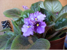 ��������14.11.2009 18:40:29