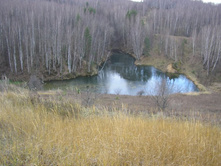 PB110003.JPG