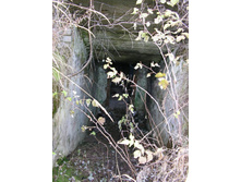 PB110004.JPG