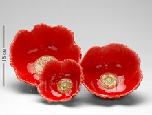 ����� ����������. ���� 990 ���.