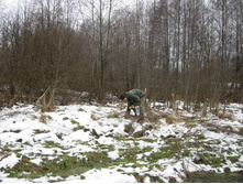 ����� ���)