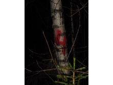 ������������ ������ �����