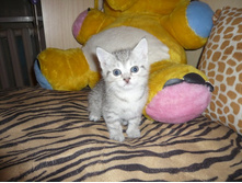 ����� 001.jpg