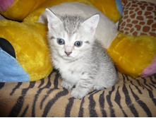 ����� 003.jpg