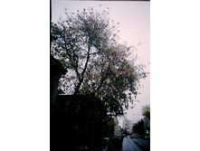 � ���������� [����������]