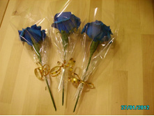 PICT6043.JPG