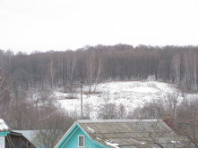 ����� ����