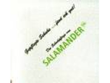 �������� ��� ���������                ������ ����� � ��������� ������������ ��� ��������� �����.