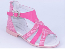 ZZJ_5506_�������_564 ���