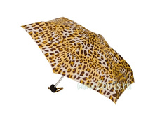 L501-2059 Classic Leopard ���� 730�.jpg